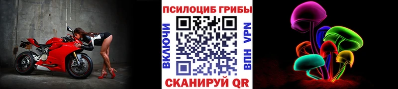 Псилоцибиновые грибы MAGIC MUSHROOMS  продажа наркотиков  Шилка 
